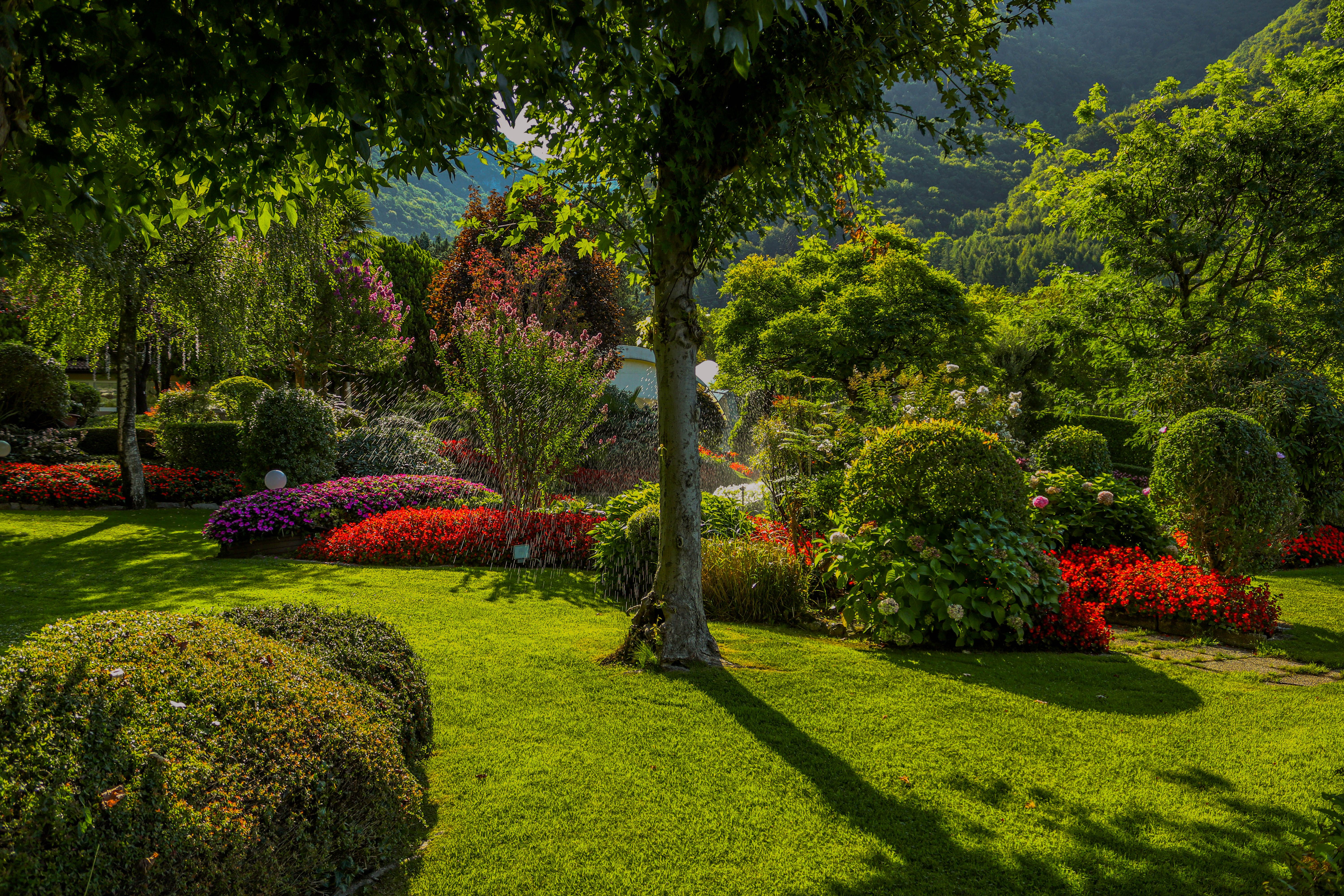 Landscaper mowing a lawn, used as a sample ad creative